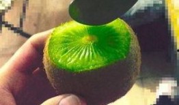 抖音网红吃瓜百度,揭秘百度背后的秘密